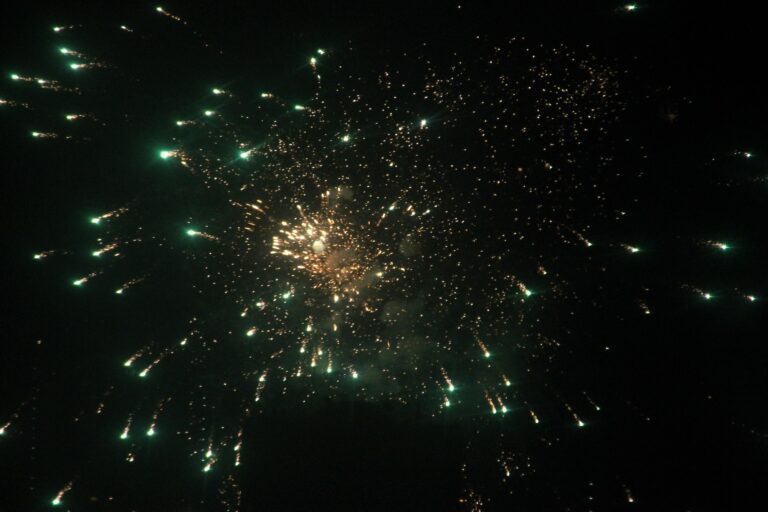 space_bee-fireworks-5979357_1920