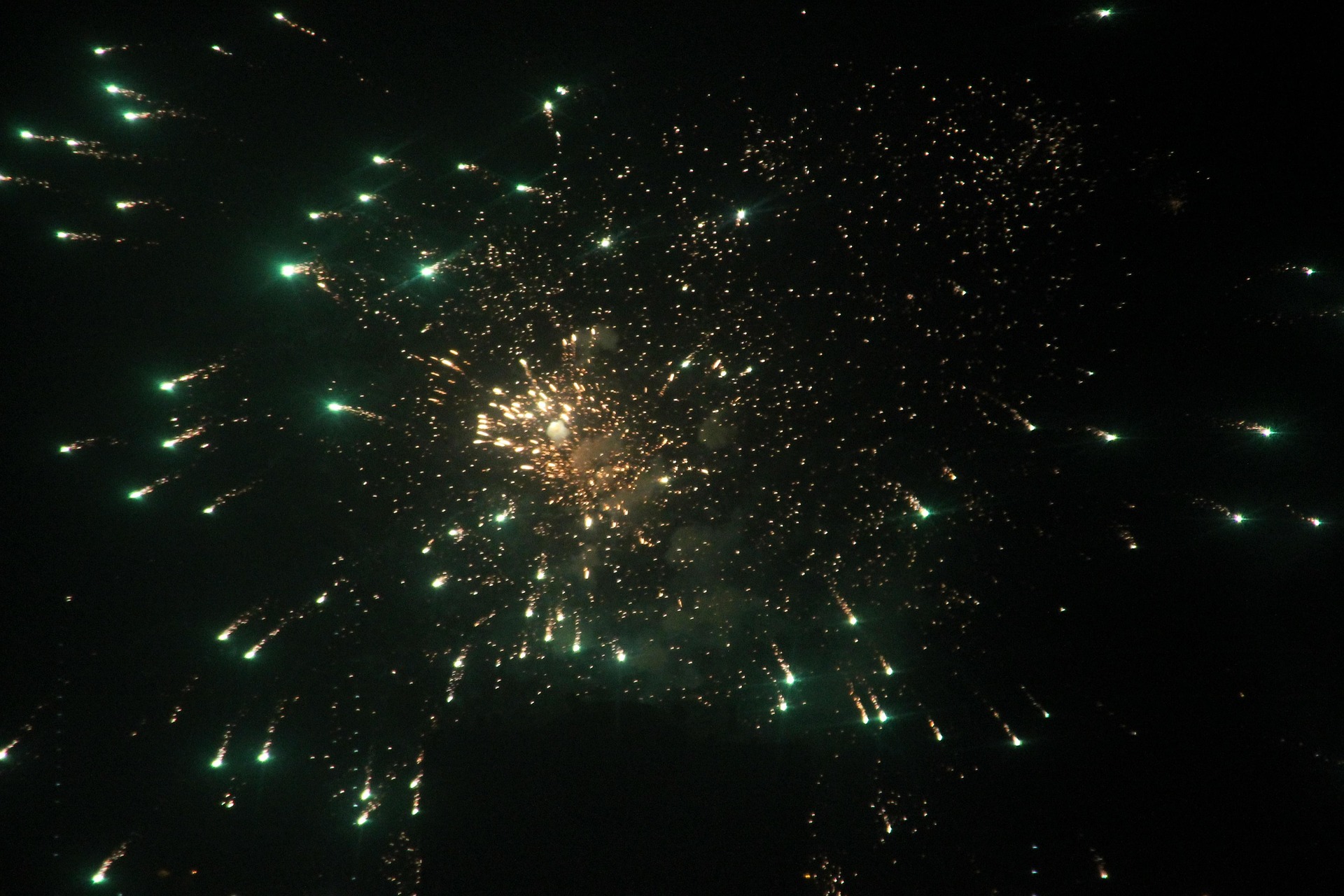 space_bee-fireworks-5979357_1920
